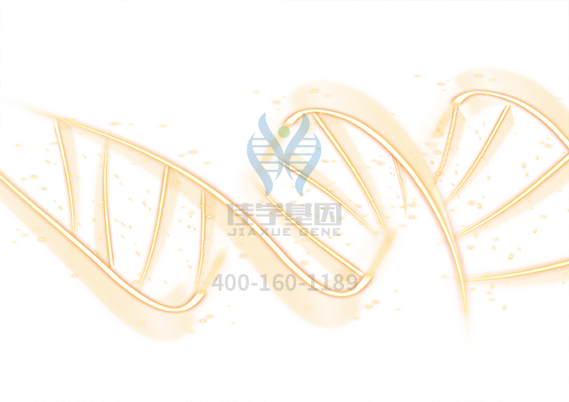 【佳學(xué)基因檢測】做癲癇和乳酸酸中毒基因解碼、<a href=http://touyanshe.cn/tk/jiema/cexujishu/2021/31933.html>基因檢測</a>采用什么樣品？