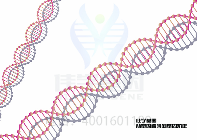 【佳學(xué)基因檢測】做紅色錐細(xì)胞多態(tài)性基因解碼、<a href=http://touyanshe.cn/tk/jiema/cexujishu/2021/31933.html>基因檢測</a>的費用是多少？