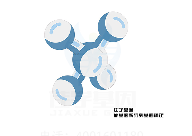 【佳學(xué)基因檢測(cè)】家族性顳葉癲癇8型基因解碼、<a href=http://touyanshe.cn/tk/jiema/cexujishu/2021/31933.html>基因檢測(cè)</a>的報(bào)告看得懂嗎？