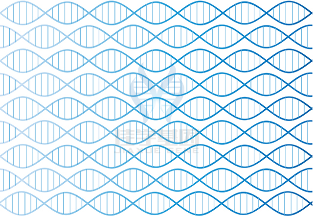 【佳學(xué)基因檢測(cè)】做視隔發(fā)育不良輕度基因解碼、<a  data-cke-saved-href=http://touyanshe.cn/tk/jiema/cexujishu/2021/31933.html href=http://touyanshe.cn/tk/jiema/cexujishu/2021/31933.html>基因檢測(cè)</a>需要多少錢？