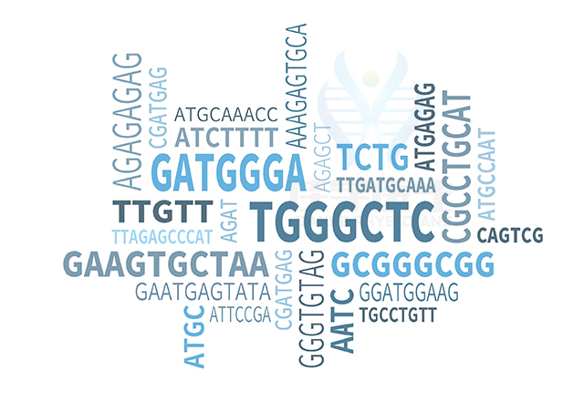 【佳學(xué)基因檢測】線粒體DNA耗竭綜合征8B（MNGIE型）基因解碼、<a href=http://touyanshe.cn/tk/jiema/cexujishu/2021/31933.html>基因檢測</a>的報(bào)告看得懂嗎？