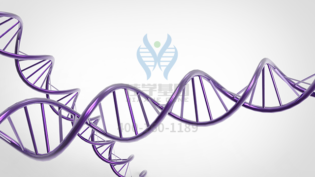 【佳學基因檢測】怎么做視網(wǎng)膜色素變性40型基因解碼、<a href=http://touyanshe.cn/tk/jiema/cexujishu/2021/31933.html>基因檢測</a>?