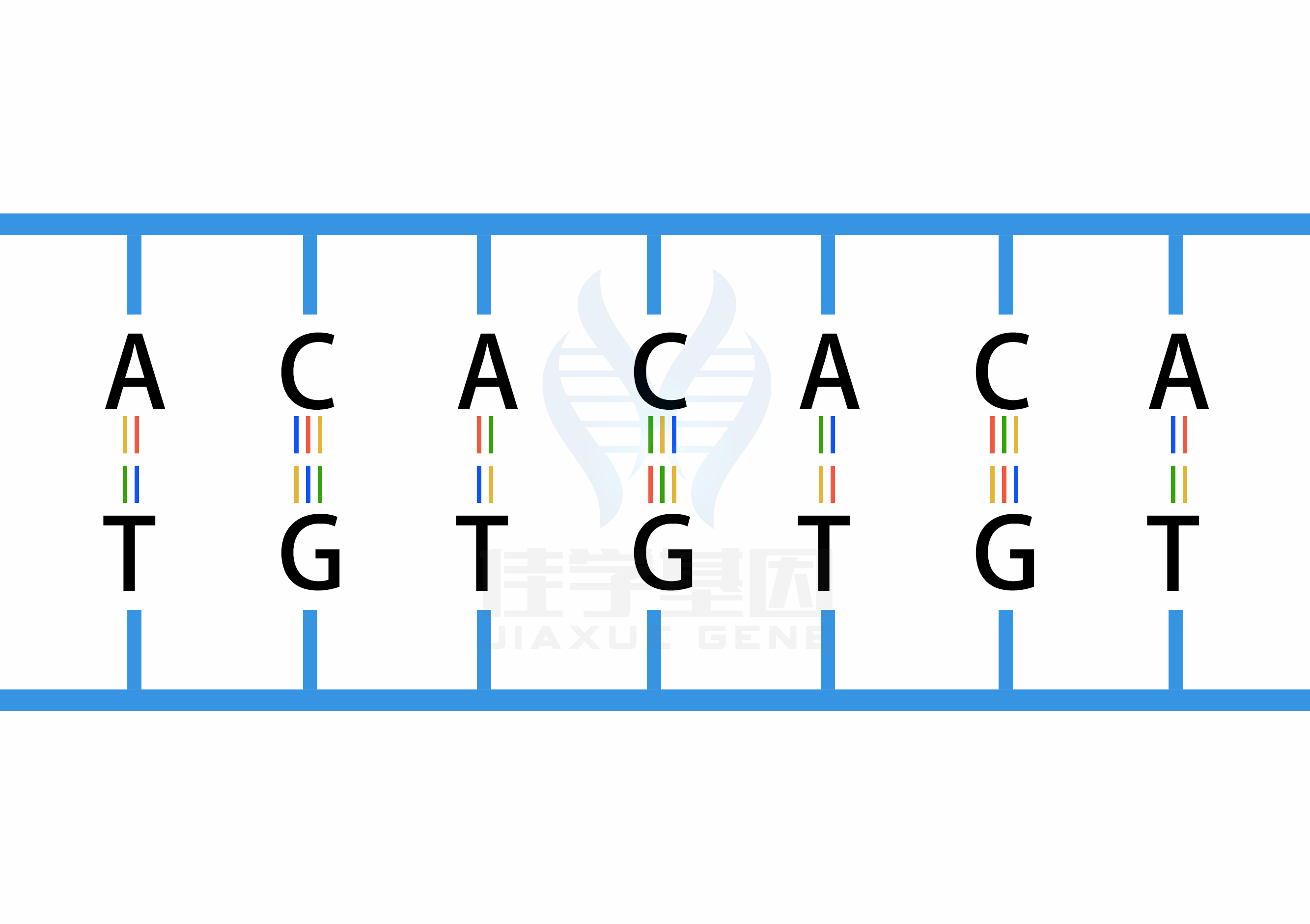 【佳學基因檢測】β-2-腎上腺素受體激動劑減少敏感性基因解碼、<a href=http://touyanshe.cn/tk/jiema/cexujishu/2021/31933.html>基因檢測</a>怎么預約解讀？