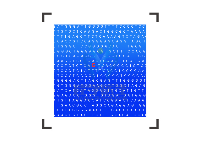 【佳學基因檢測】神經母細胞瘤2型基因解碼、<a  data-cke-saved-href=http://touyanshe.cn/tk/jiema/cexujishu/2021/31933.html href=http://touyanshe.cn/tk/jiema/cexujishu/2021/31933.html>基因檢測</a>報告看得懂嗎？