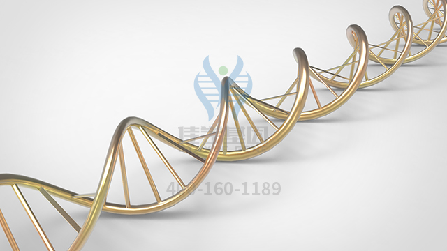 【佳學(xué)基因檢測】做體重指數(shù)性狀基因座10基因解碼、<a href=http://touyanshe.cn/tk/jiema/cexujishu/2021/31933.html>基因檢測</a>方便嗎？