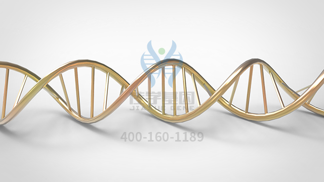 【佳學基因檢測】MORM綜合征基因解碼、<a href=http://touyanshe.cn/tk/jiema/cexujishu/2021/31933.html>基因檢測</a>有什么用？