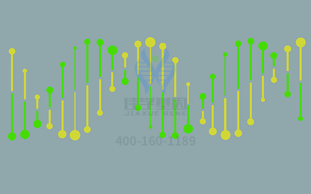 【佳學(xué)基因檢測(cè)】耳聾常染色體顯性10型基因解碼、<a href=http://touyanshe.cn/tk/jiema/cexujishu/2021/31933.html>基因檢測(cè)</a>可以只做基因解碼嗎？