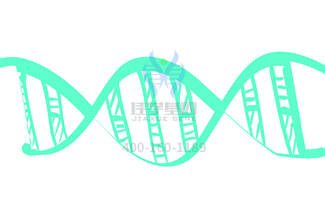 【佳學基因檢測】做多發(fā)性腎囊腫基因解碼、<a href=http://touyanshe.cn/tk/jiema/cexujishu/2021/31933.html>基因檢測</a>需要多少錢？