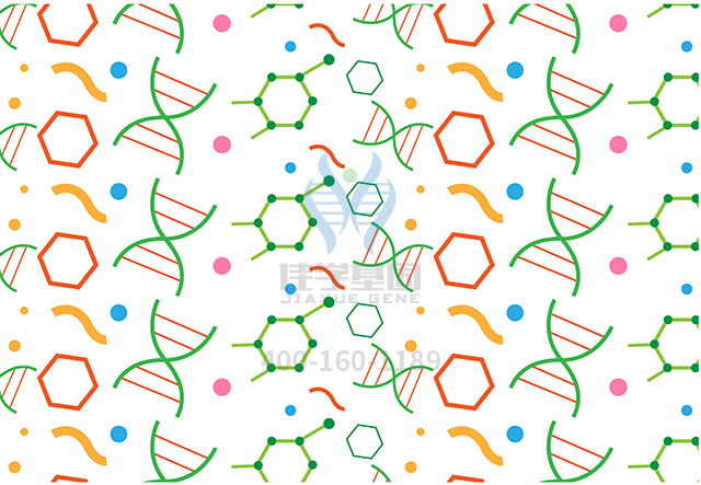 【佳學基因檢測】甲狀腺球蛋白合成缺陷基因解碼、<a href=http://touyanshe.cn/tk/jiema/cexujishu/2021/31933.html>基因檢測</a>報告看得懂嗎？