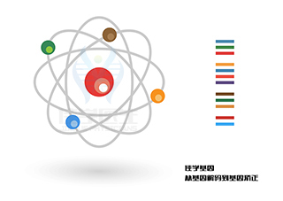 <b>【佳學(xué)基因檢測】什么人要做CLPB缺陷、3-甲基戊烯二酸尿癥7型基因解碼、基因</b>