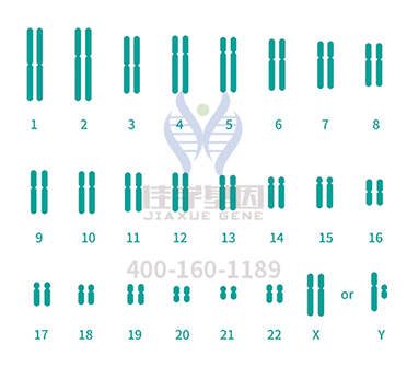 【佳學(xué)基因檢測(cè)】原發(fā)性纖毛運(yùn)動(dòng)障礙癥6型基因解碼、<a href=http://touyanshe.cn/tk/jiema/cexujishu/2021/31933.html>基因檢測(cè)</a>的報(bào)告看得懂嗎？