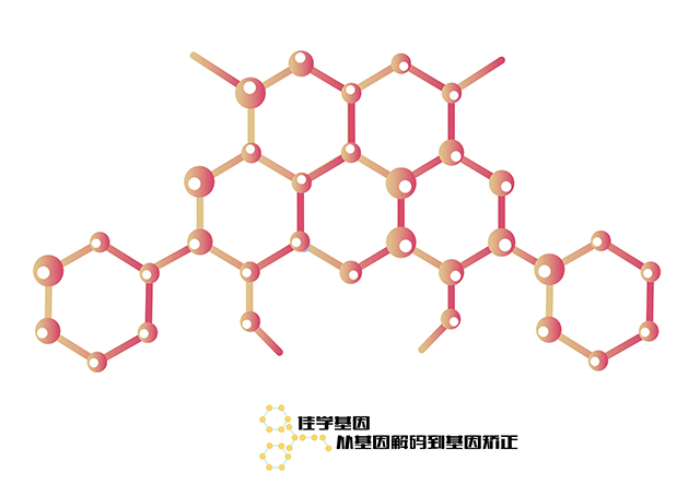 【佳學(xué)基因檢測(cè)】骨性關(guān)節(jié)炎基因解碼、<a href=http://touyanshe.cn/tk/jiema/cexujishu/2021/31933.html>基因檢測(cè)</a>報(bào)告看得懂嗎？