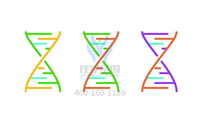 【佳學(xué)基因檢測】糖尿病1型易感性基因解碼、<a href=http://touyanshe.cn/tk/jiema/cexujishu/2021/31933.html>基因檢測</a>報告時間是一樣的嗎？