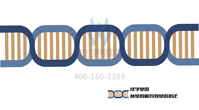 【佳學(xué)基因檢測】怎么做雙相情感障礙基因解碼、<a href=http://touyanshe.cn/tk/jiema/cexujishu/2021/31933.html>基因檢測</a>?