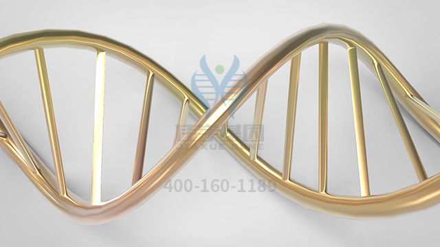 【佳學基因檢測】家族性水平注視麻痹伴進行性脊柱側彎2型基因解碼、<a href=http://touyanshe.cn/tk/jiema/cexujishu/2021/31933.html>基因檢測</a>的報告看得懂嗎？