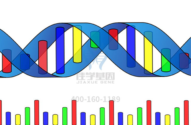 【佳學(xué)基因檢測】什么人要做梅克爾綜合征2型基因解碼、<a href=http://touyanshe.cn/tk/jiema/cexujishu/2021/31933.html>基因檢測</a>？