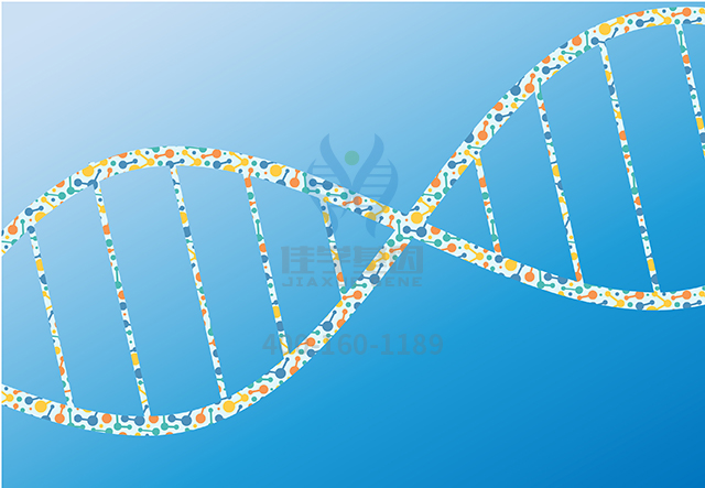 【佳學(xué)基因檢測(cè)】做萊里威爾不典型性軟骨癥基因解碼、<a href=http://touyanshe.cn/tk/jiema/cexujishu/2021/31933.html>基因檢測(cè)</a>采用什么樣品？