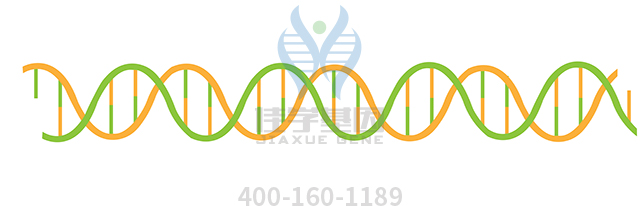 【佳學(xué)基因檢測】索托斯綜合征1型基因解碼、<a href=http://touyanshe.cn/tk/jiema/cexujishu/2021/31933.html>基因檢測</a>報告看得懂嗎？