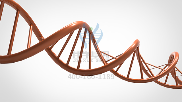 【佳學基因檢測】CLN10病基因解碼、<a href=http://touyanshe.cn/tk/jiema/cexujishu/2021/31933.html>基因檢測</a>報告看得懂嗎？