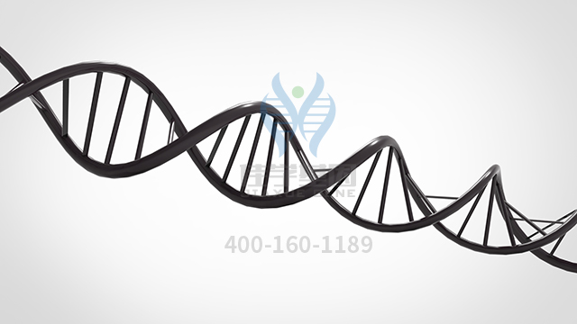 【佳學(xué)基因檢測(cè)】什么人要做CLN6疾病基因解碼、<a href=http://touyanshe.cn/tk/jiema/cexujishu/2021/31933.html>基因檢測(cè)</a>？