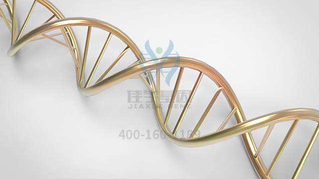 【佳學(xué)基因檢測】什么人要做多發(fā)性內(nèi)分泌瘤2a型基因解碼、<a href=http://touyanshe.cn/tk/jiema/cexujishu/2021/31933.html>基因檢測</a>？