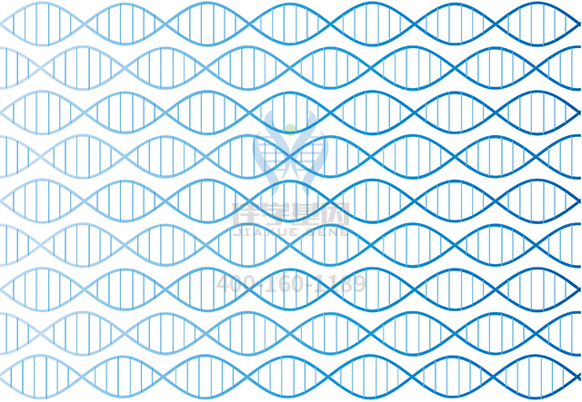 【佳學(xué)基因檢測】梅爾-戈林綜合征8基因解碼、<a href=http://touyanshe.cn/tk/jiema/cexujishu/2021/31933.html>基因檢測</a>有什么用？