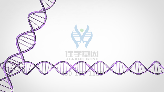 【佳學(xué)基因檢測(cè)】羅賓綜合征常染色體顯性2型基因解碼、<a href=http://touyanshe.cn/tk/jiema/cexujishu/2021/31933.html>基因檢測(cè)</a>的報(bào)告看得懂嗎？