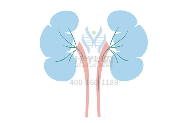 【佳學(xué)基因檢測(cè)】神經(jīng)鐵蛋白病基因解碼、<a href=http://touyanshe.cn/tk/jiema/cexujishu/2021/31933.html>基因檢測(cè)</a>可以只做<a href=http://touyanshe.cn/tk/jiema/cexujishu/2021/31933.html>基因檢測(cè)</a>嗎？