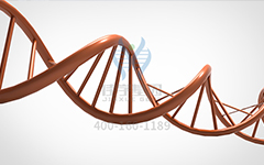 【佳學基因檢測】丙戊酸誘導的可逆性大腦假性萎縮易感性型基因解碼、<a href=http://touyanshe.cn/tk/jiema/cexujishu/2021/31933.html>基因檢測</a>報告看得懂嗎？