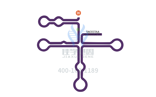 【佳學(xué)基因檢測】先天性肌強(qiáng)直綜合征14型基因解碼、<a href=http://touyanshe.cn/tk/jiema/cexujishu/2021/31933.html>基因檢測</a>的報(bào)告看得懂嗎？