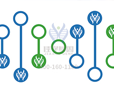 【佳學(xué)基因-基因檢測(cè)】核酸提取技術(shù)簡(jiǎn)述（下）