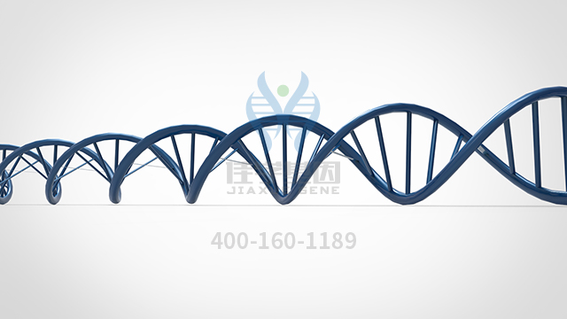 【佳學(xué)基因檢測】SLC22A4多態(tài)性基因解碼、<a href=http://touyanshe.cn/tk/jiema/cexujishu/2021/31933.html>基因檢測</a>報告看得懂嗎？