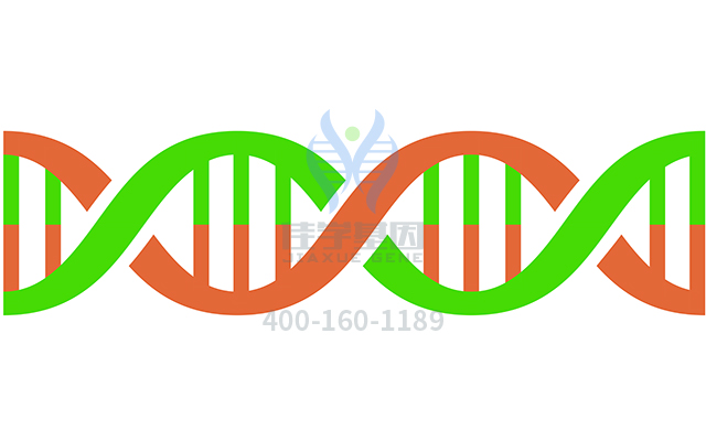 【佳學(xué)基因檢測】外胚層發(fā)育不良皮膚脆弱綜合征基因解碼、<a href=http://touyanshe.cn/tk/jiema/cexujishu/2021/31933.html>基因檢測</a>有什么用？