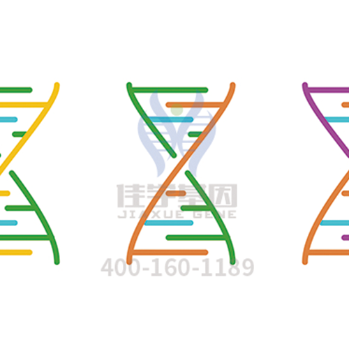 【眼科遺傳病】<font color='red'>BEST</font>病基因解碼、<a href=http://touyanshe.cn/tk/jiema/cexujishu/2021/31933.html>基因檢測</a>